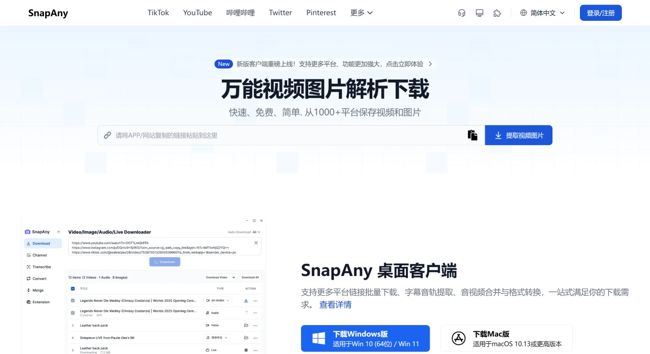 SnapAny(图1) 万能视频图片解析下载 - SnapAny - snapany.com